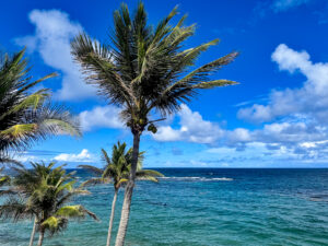 St. Kitts Marriott Resort & The Royal Beach Casino Beach View