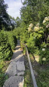 treetop-retreat-ohio-stairs