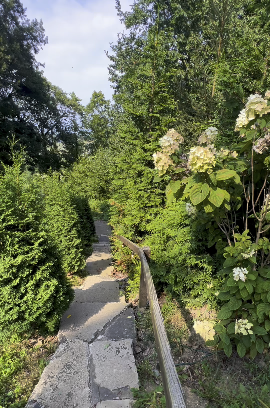 treetop-retreat-ohio-stairs