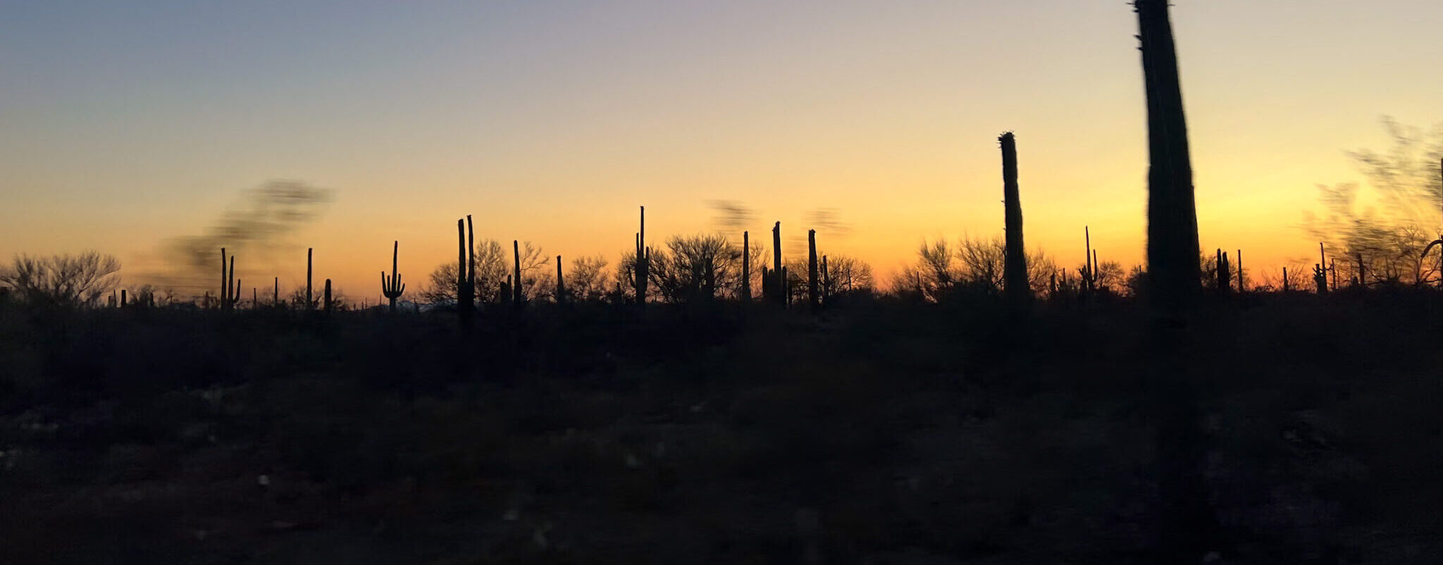 Arizona