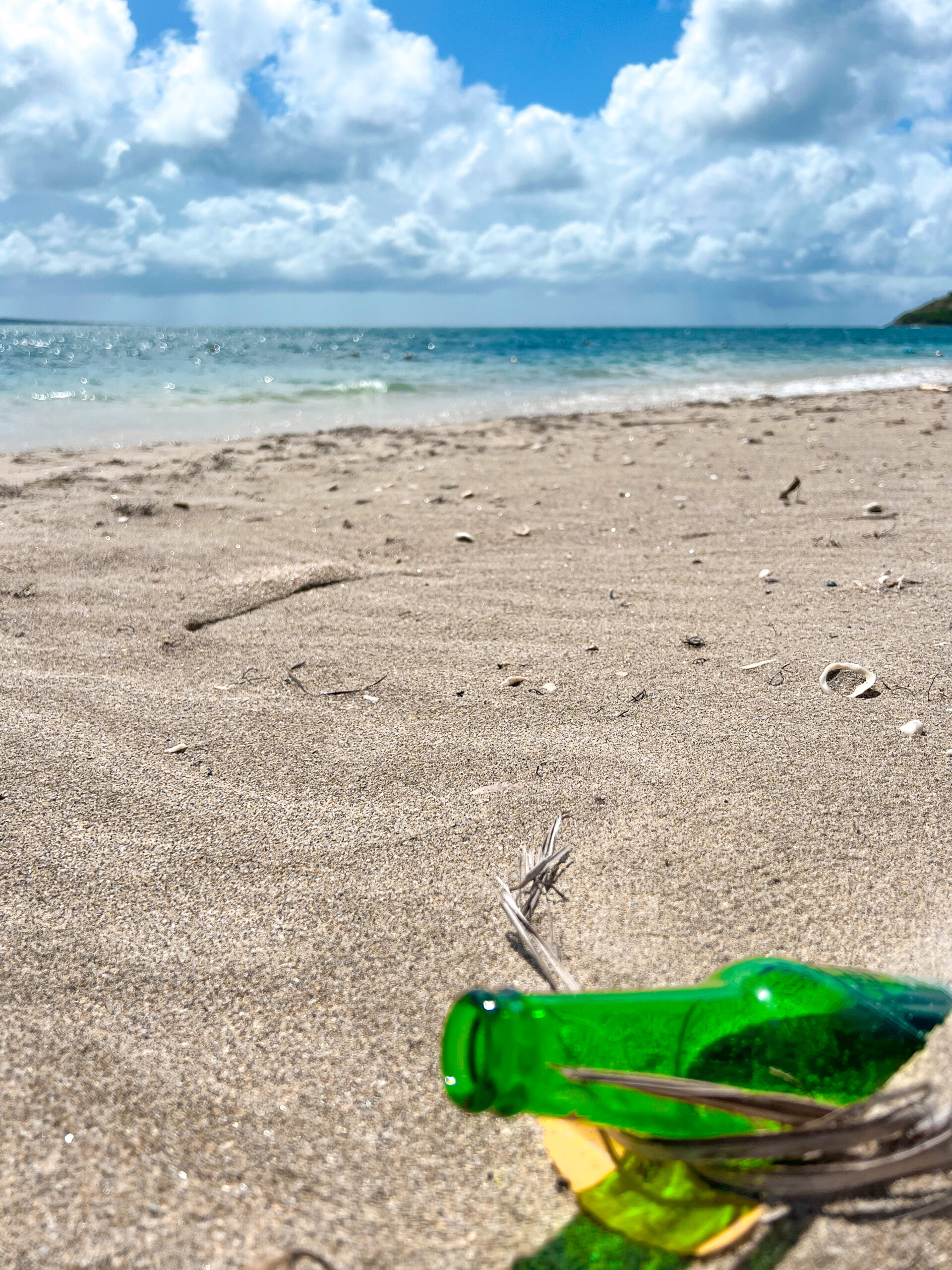 where to eat in St Kitts beach