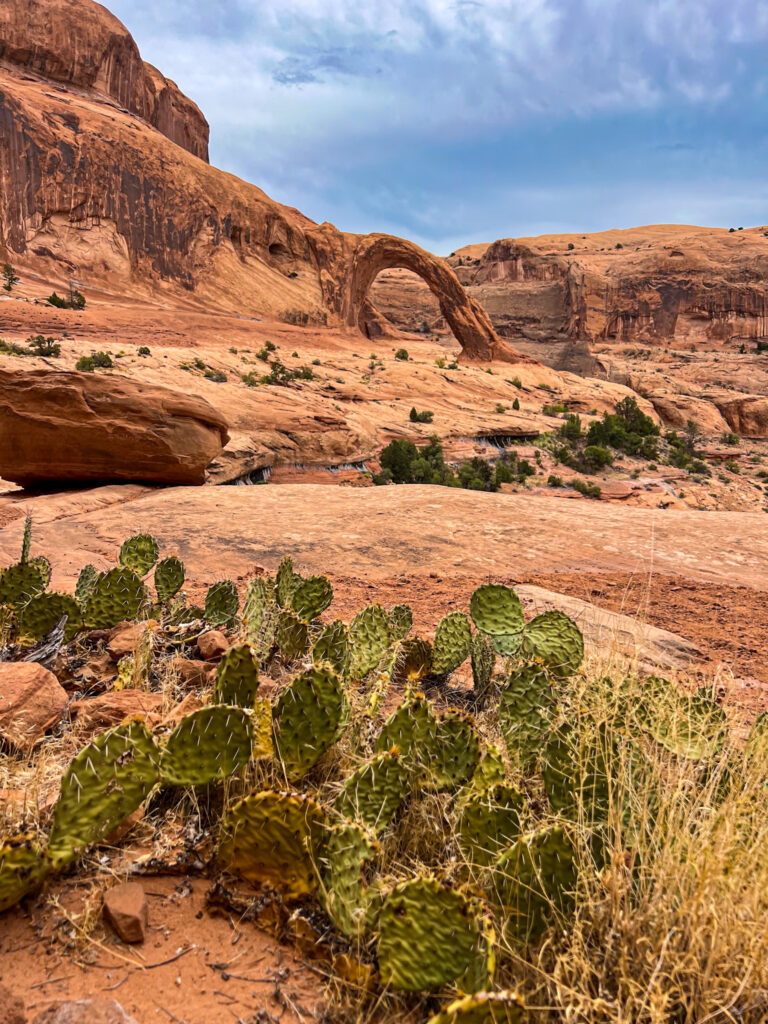 2-Week Moab Itinerary: The Ultimate & Unforgettable Red Rock Adventure ...