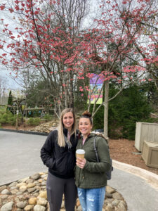 Fall Leaves at Dollywood in the Smoky Mountains
