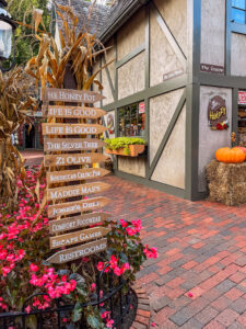 Brick walkways and boutique shops in The Village Gatlinburg — things to do in Gatlinburg
