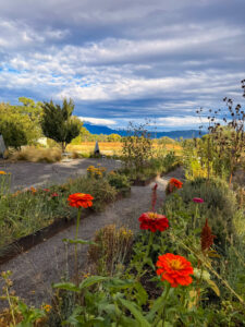 Los Poblanos Hacienda and Field near Albuquerque