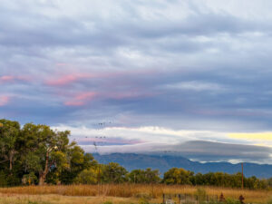 week in Albuquerque — Los Poblanos at sunset