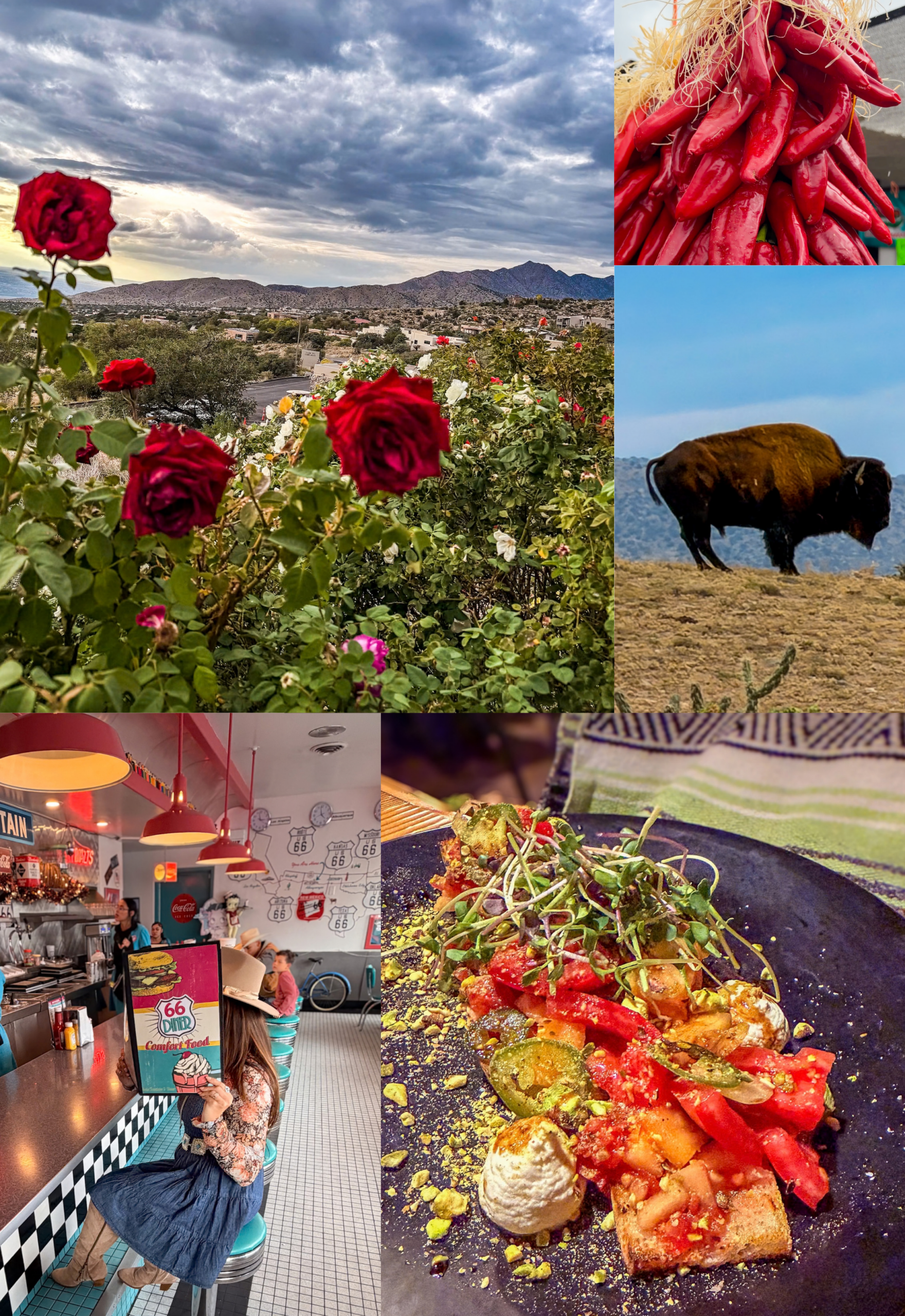 3 days in Albuquerque