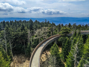 View from Clingmans Dome (Kuwohi) Overlook in Great Smoky Mountains