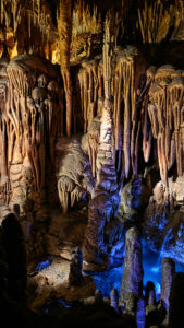 Arizona-Sonora Desert Museum wildlife exhibit on a weekend in Tucson