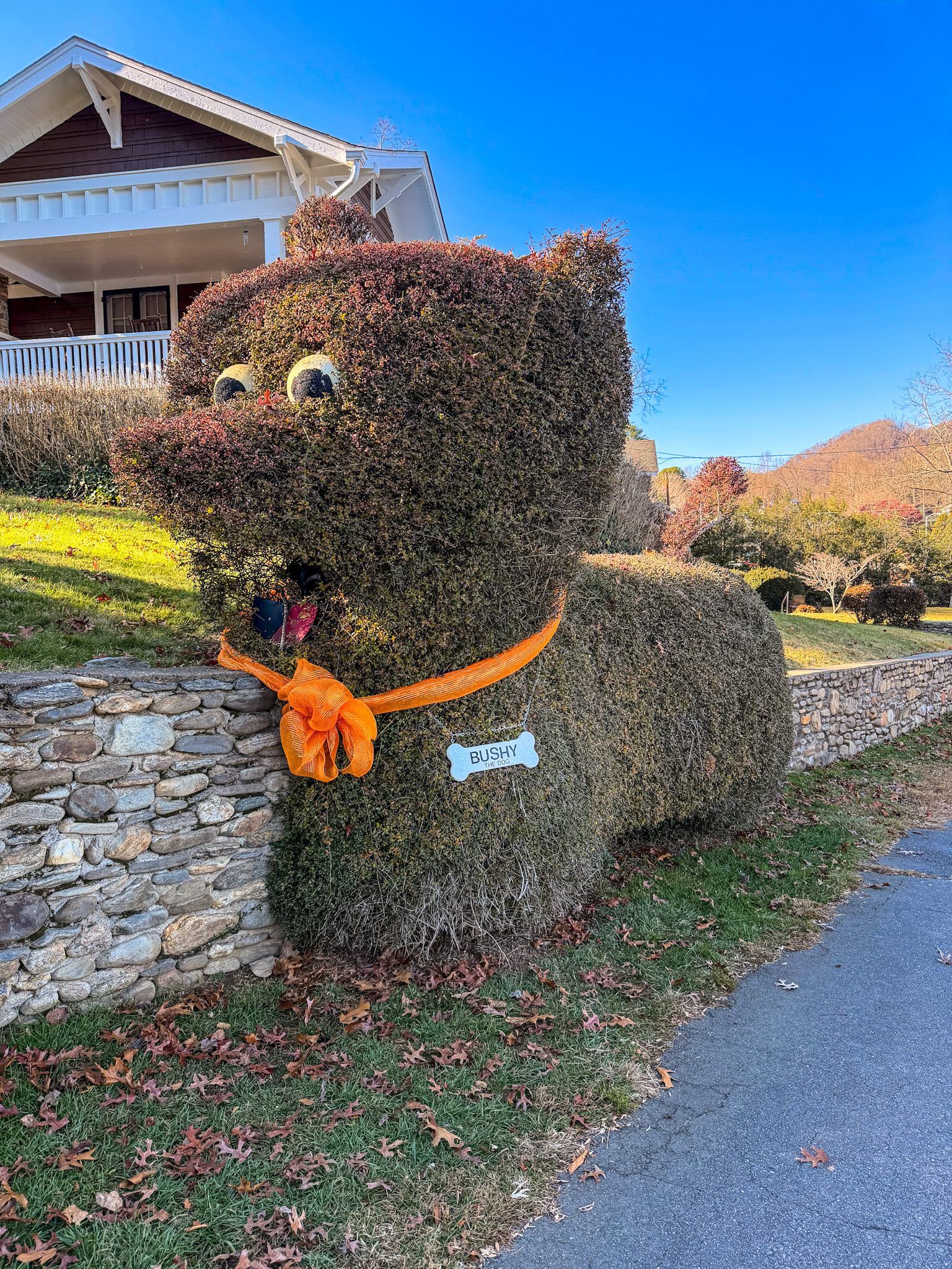 Lake Junaluska Guide Bushy the Dog