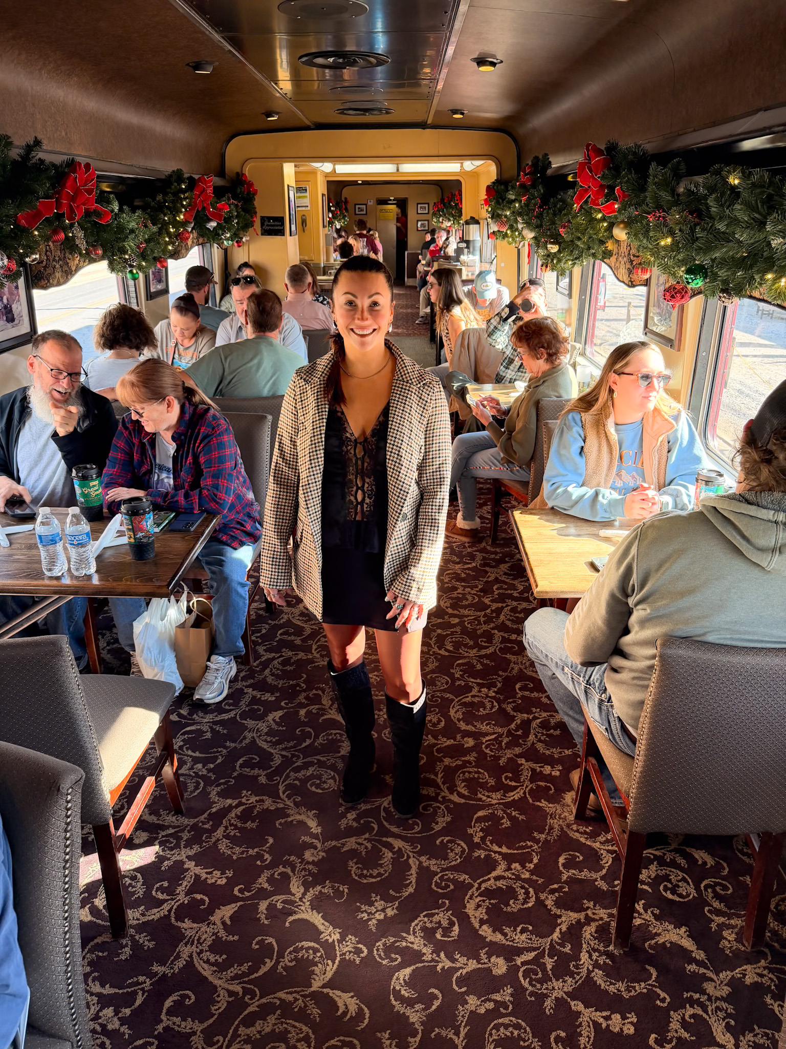 Great Smoky Mountains Railroad Review First Class train car interior