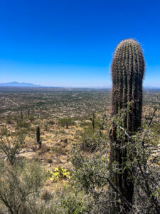 Babad Do’ag Vista beginner-friendly hikes in Tucson