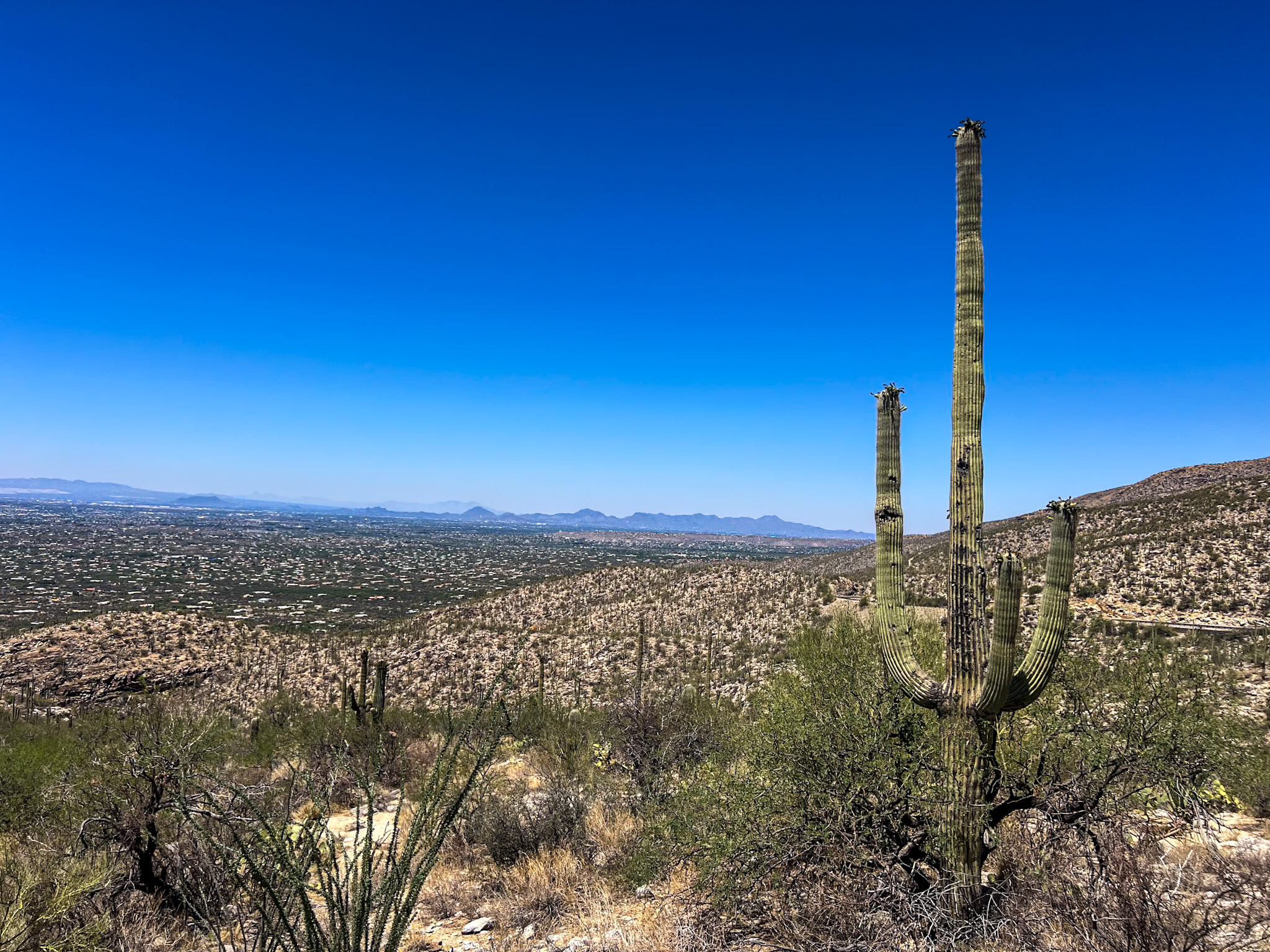 Mt. Lemmon Travel Guide Babad Do’ag Vista
