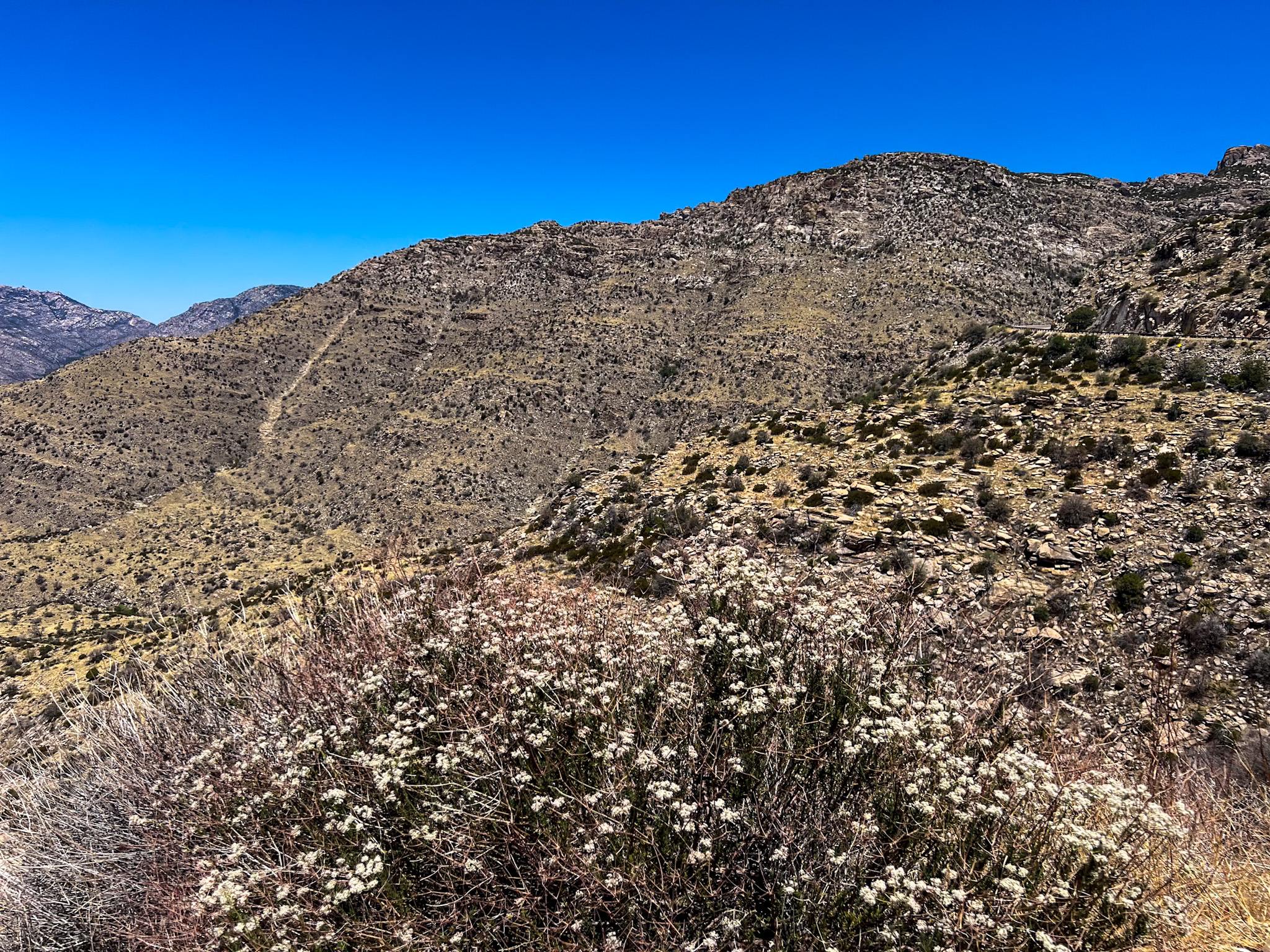Free scenic spots in Tucson at Thimble Point