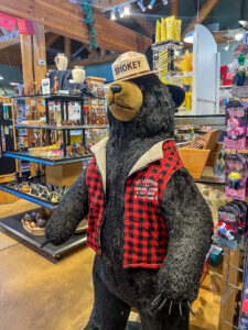 Red Hills Visitor Center trail beginner-friendly hikes in Tucson