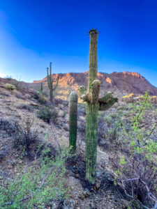 Sunset view at Gates Pass – Most Instagrammable Places in Tucson