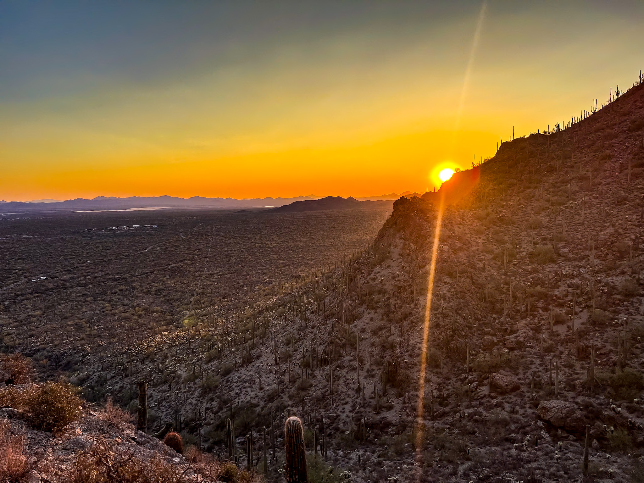 One day in Saguaro National Park West Gates Pass sunset view