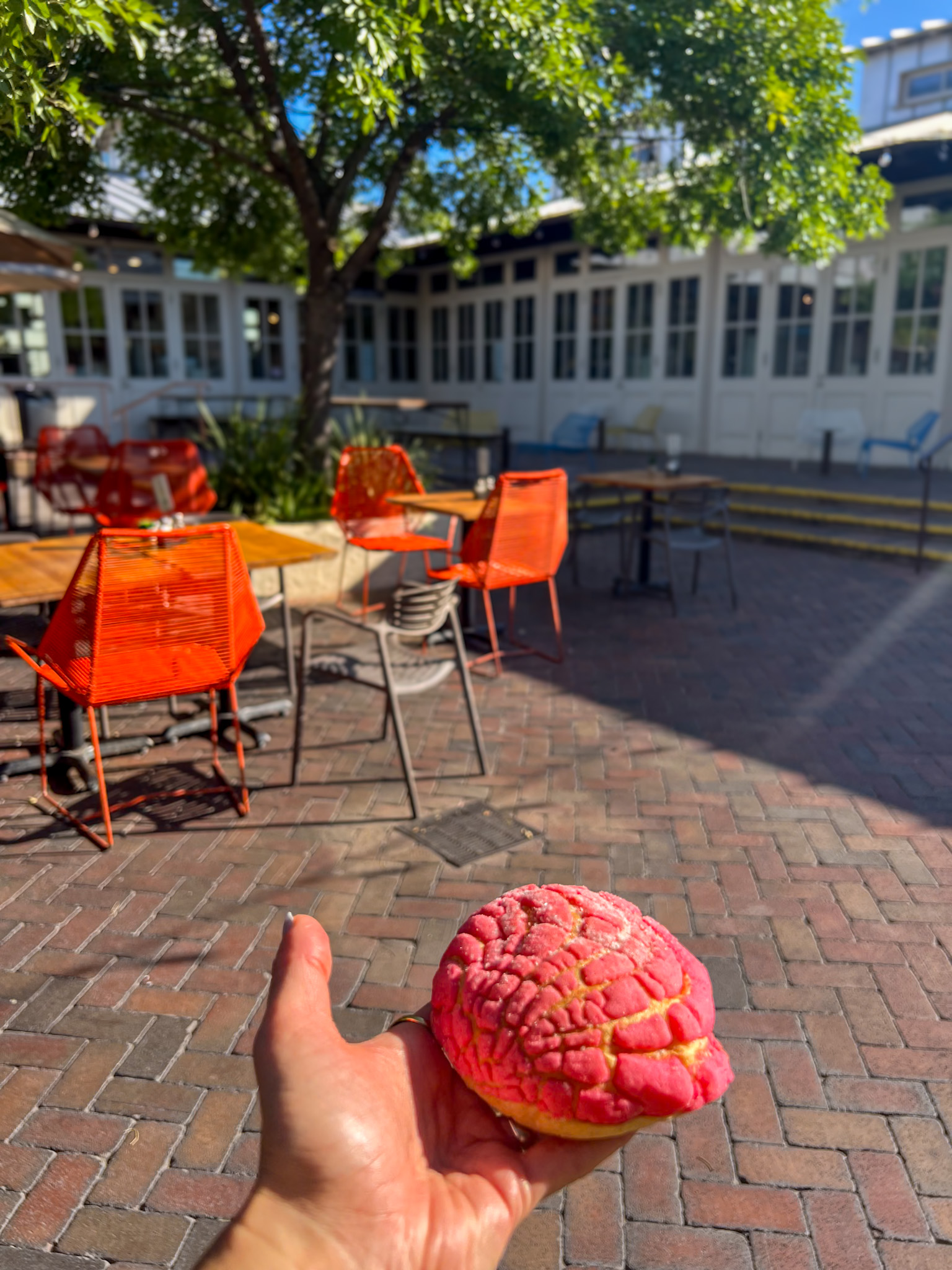 Hidden Gems in Tucson La Estrella Bakery pastries