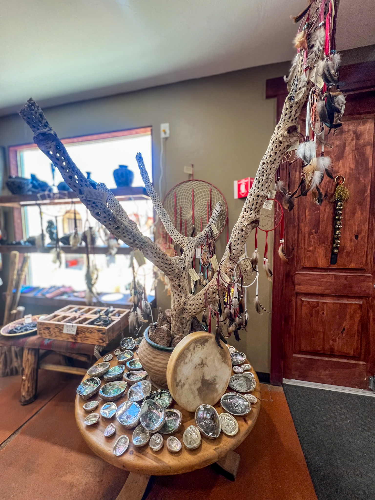 Cholla Ribs Mission San Xavier del Bac