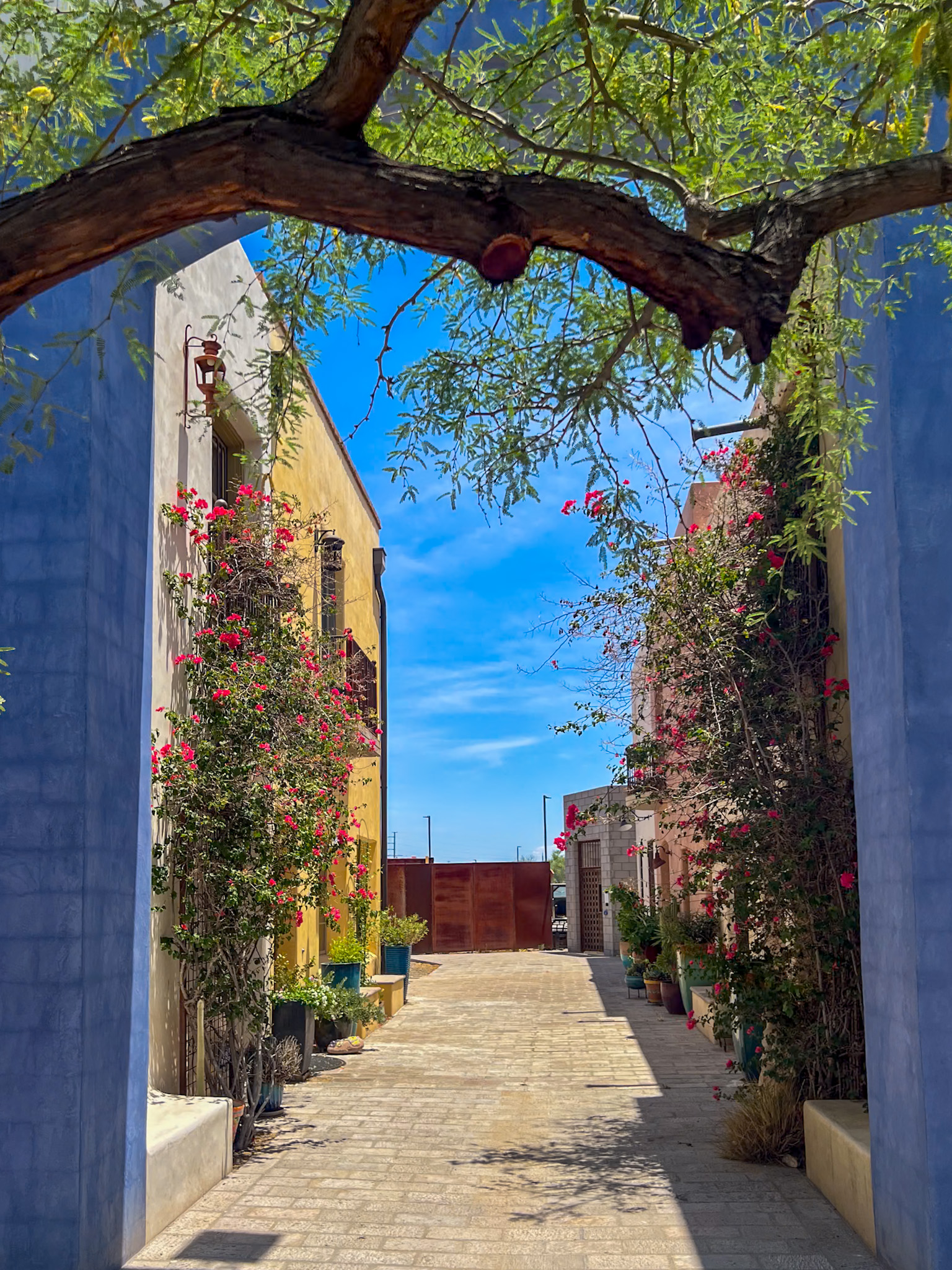 Mercado San Agustín courtyard – Most Instagrammable Places in Tucson