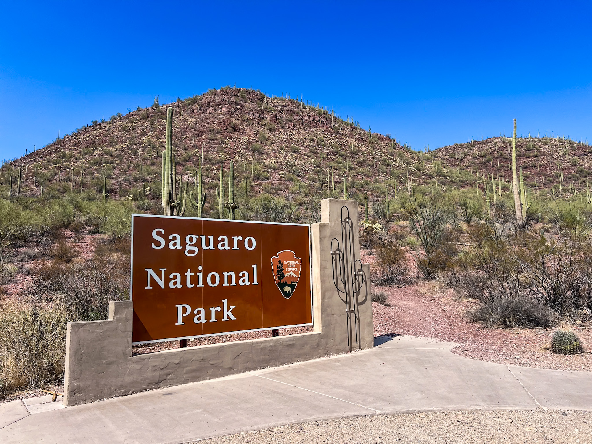 One day in Saguaro National Park West Red Hills Visitor Center
