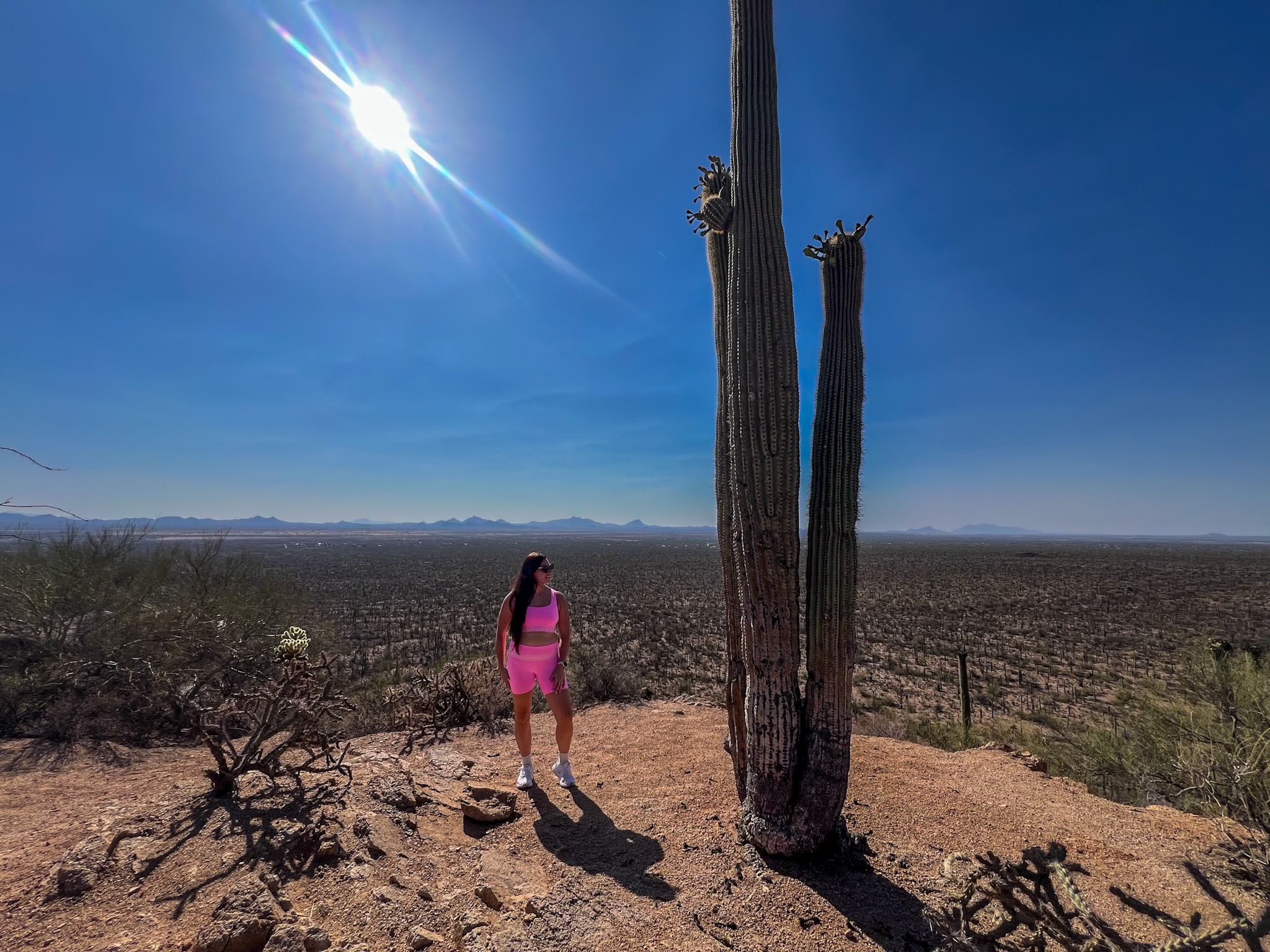Valley View Overlook Trail scenery beginner-friendly hikes in Tucson
