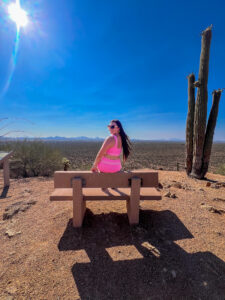 One day in Saguaro National Park West Valley View Overlook Trail