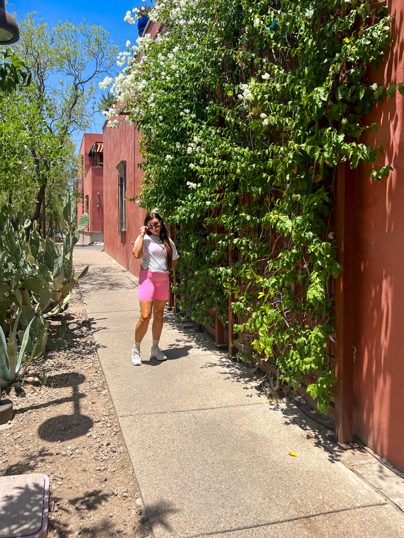 Guide to Downtown Tucson Convento and Cushing