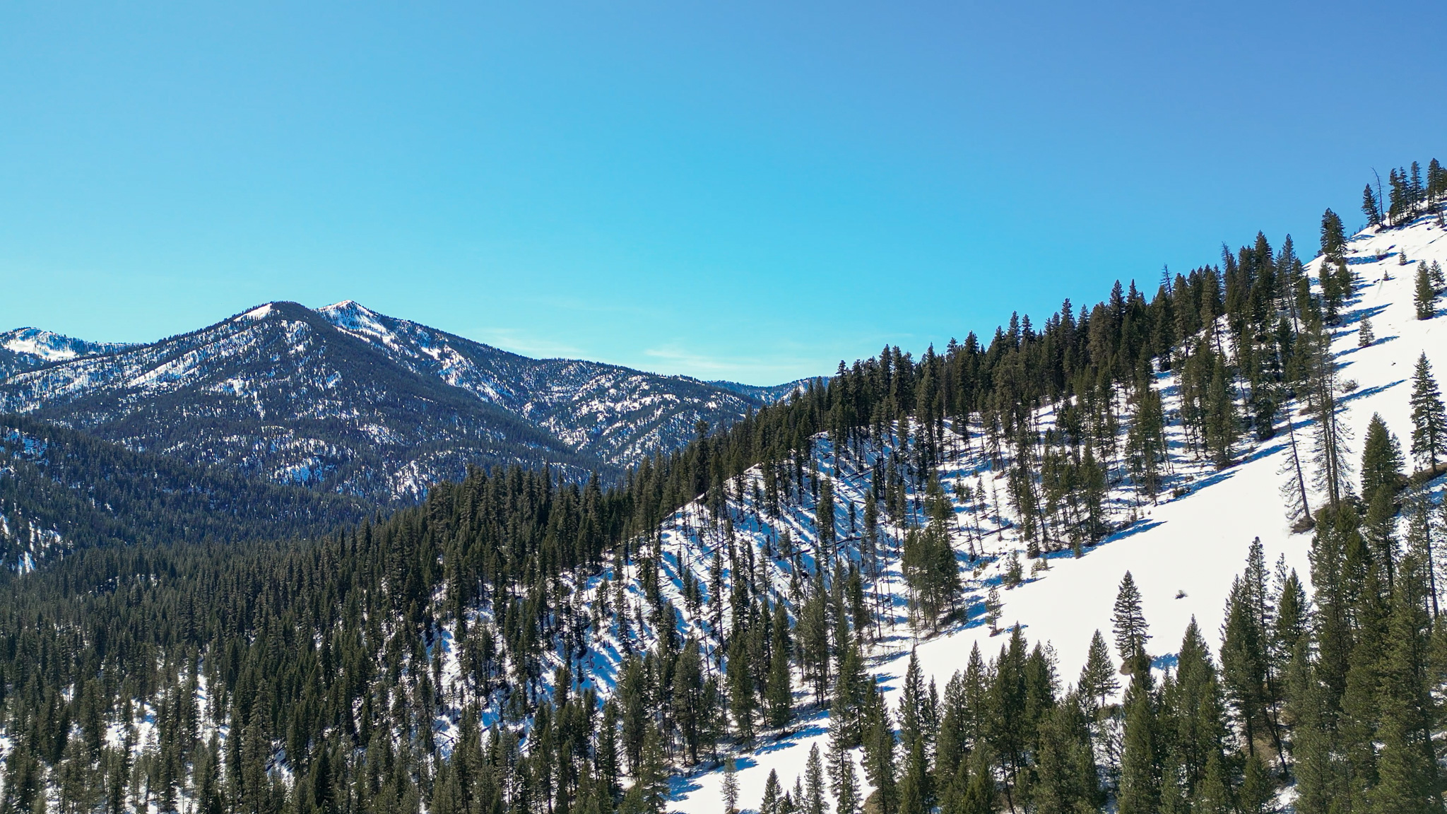 Idaho