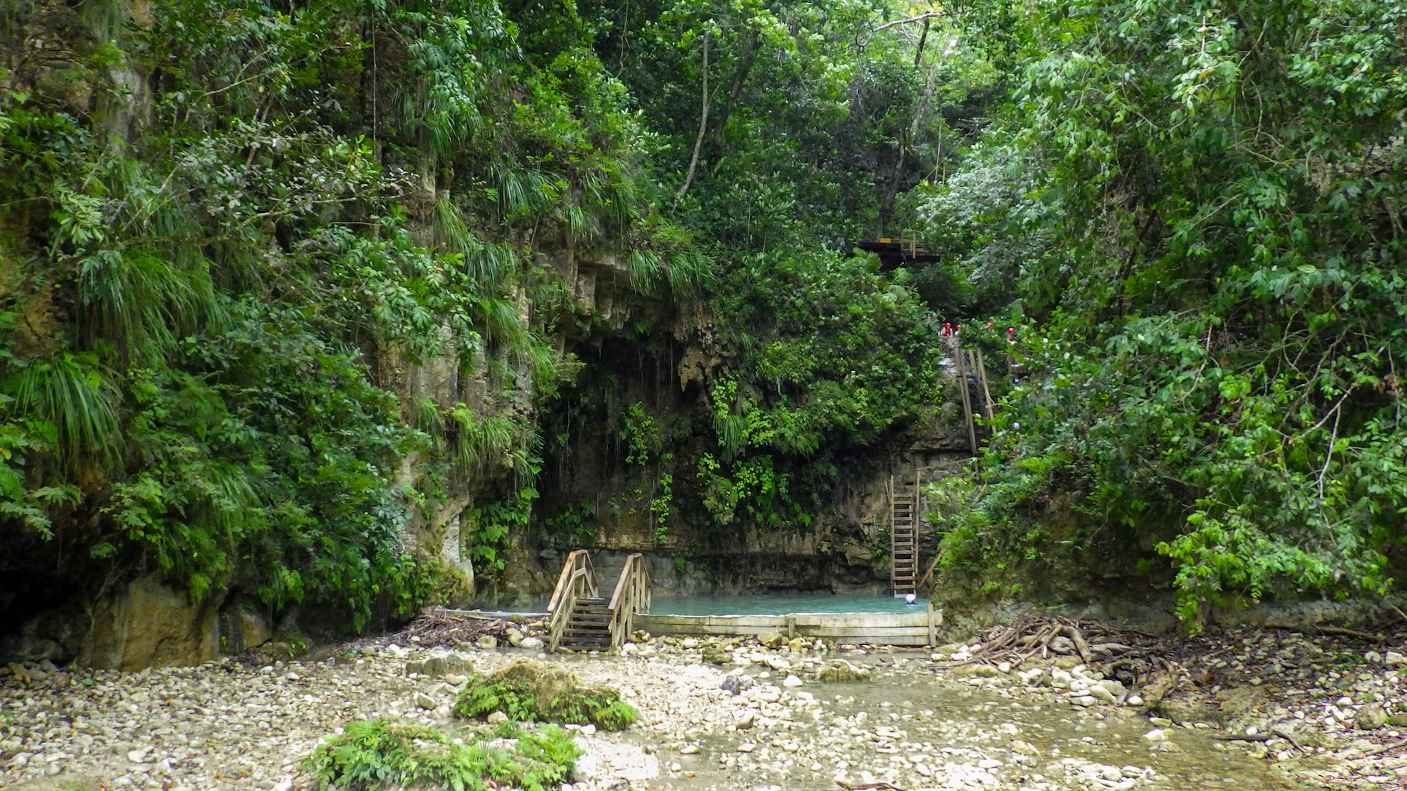 Waterfalls of Damajagua in Puerto Plata jungle hike stairs