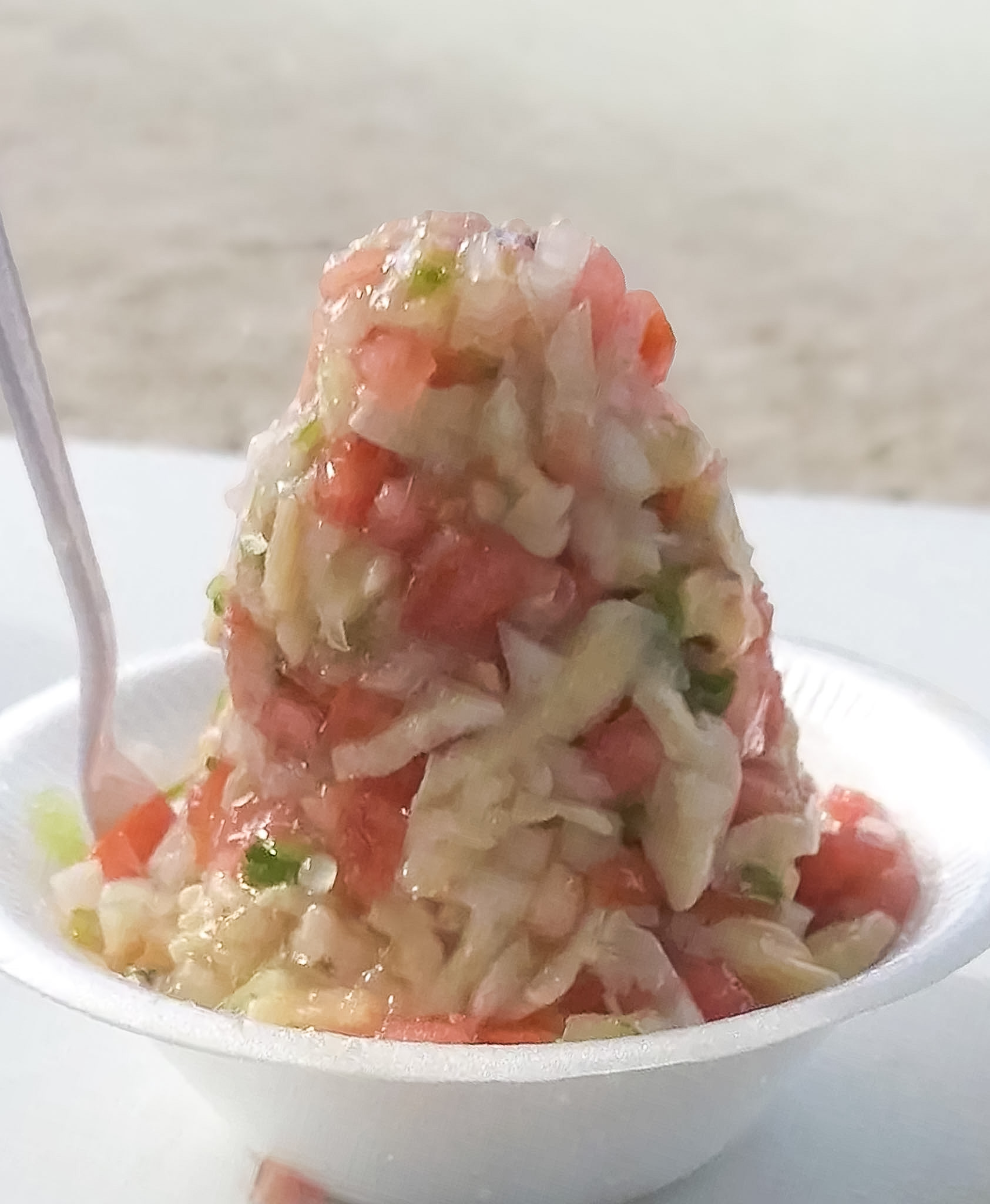 best conch salad in Bimini at Braxton’s conch stand