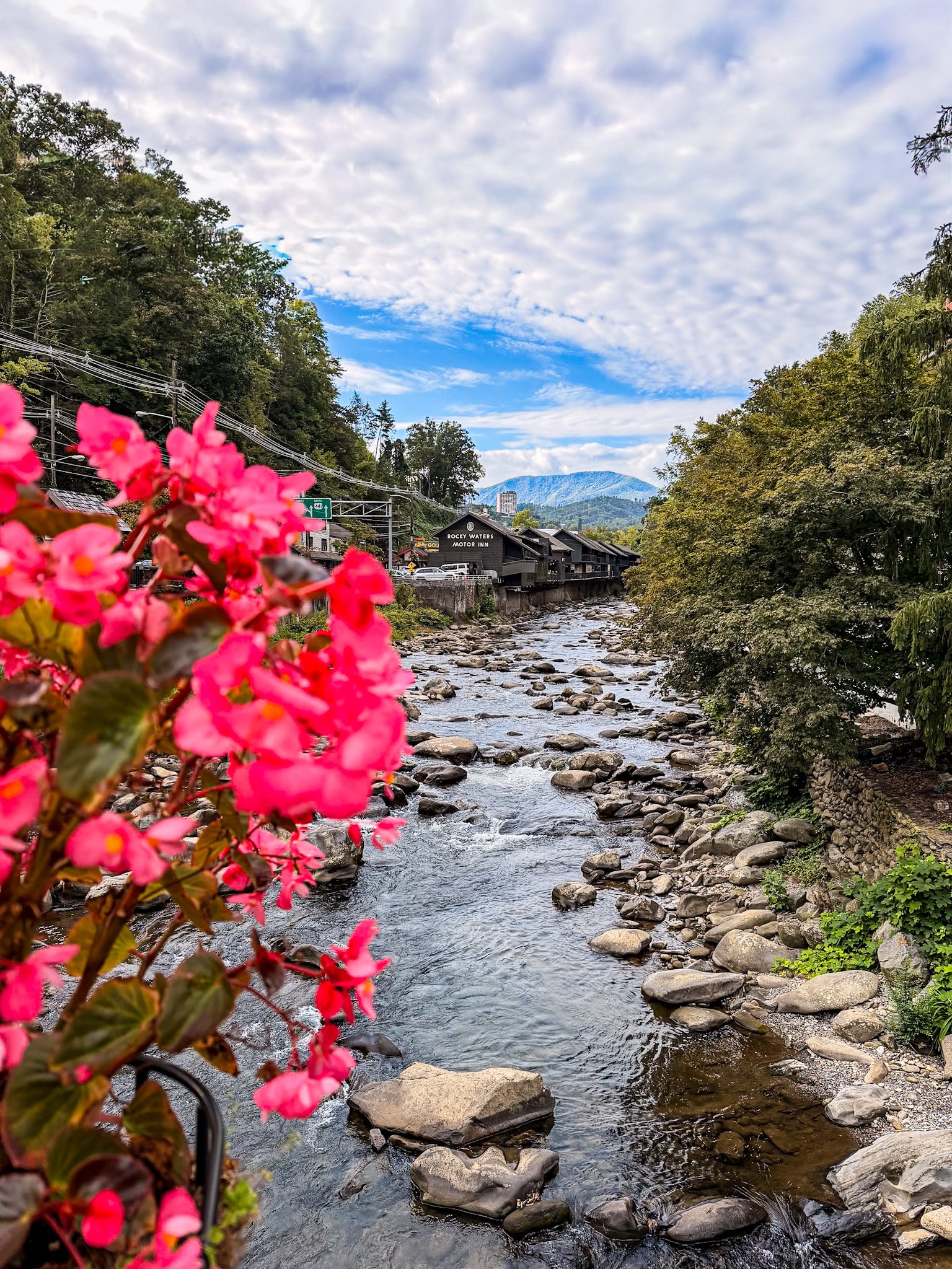 best things to do in Townsend TN scenic drive Smoky Mountains