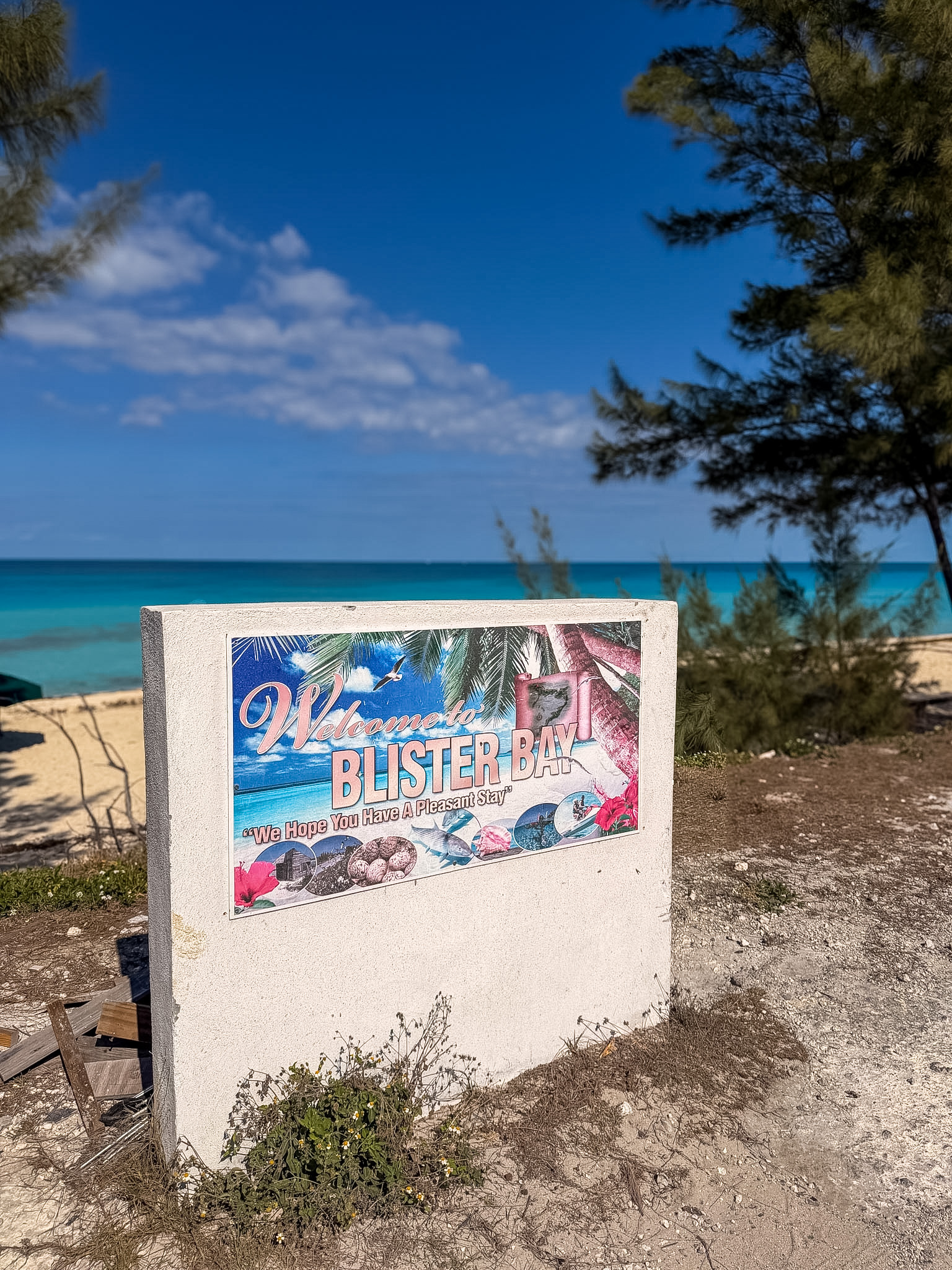 Blister Bay Bimini guide turquoise water and white sand beach