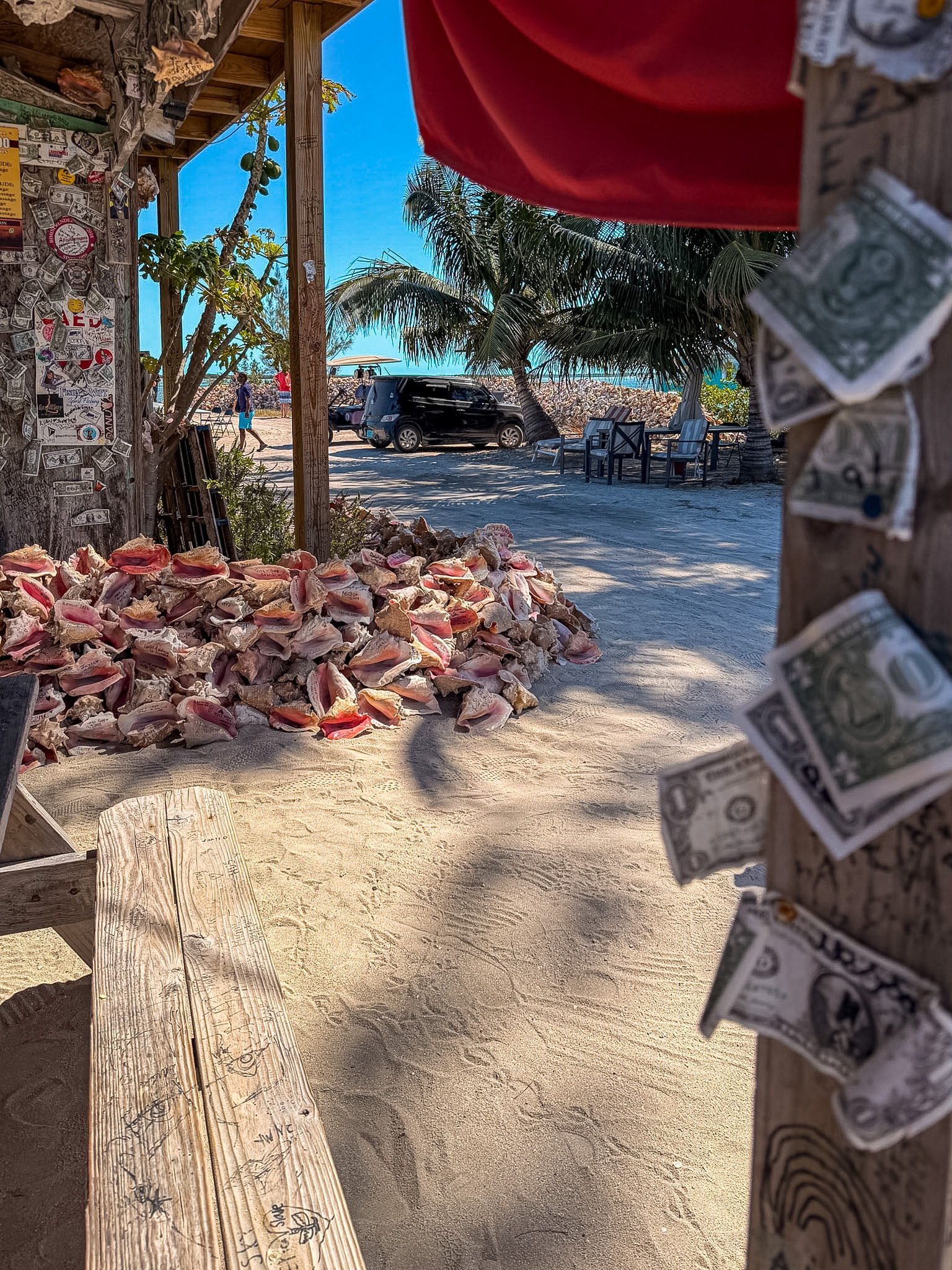best conch salad in Bimini local roadside stand
