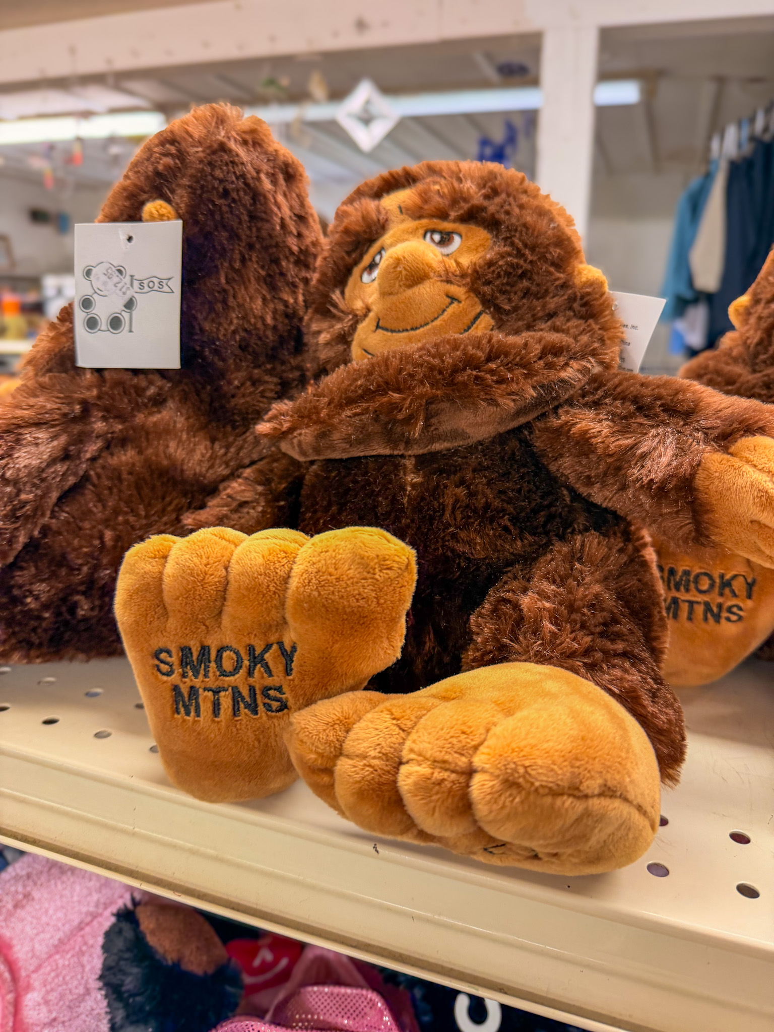 perfect day in Townsend TN Smoky Mountains peaceful side scenery