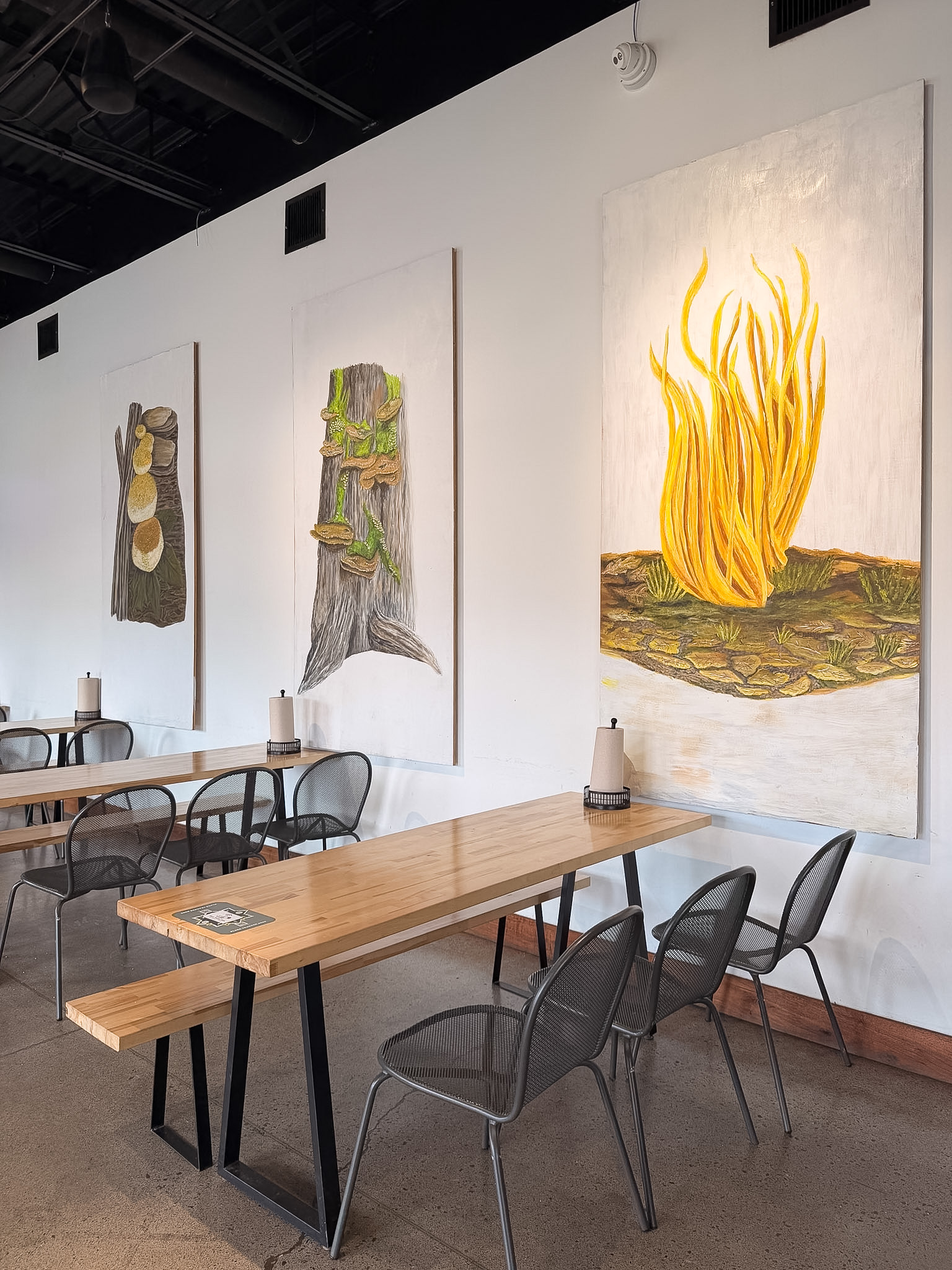 perfect day in Townsend TN cave waterfall inside Tuckaleechee Caverns