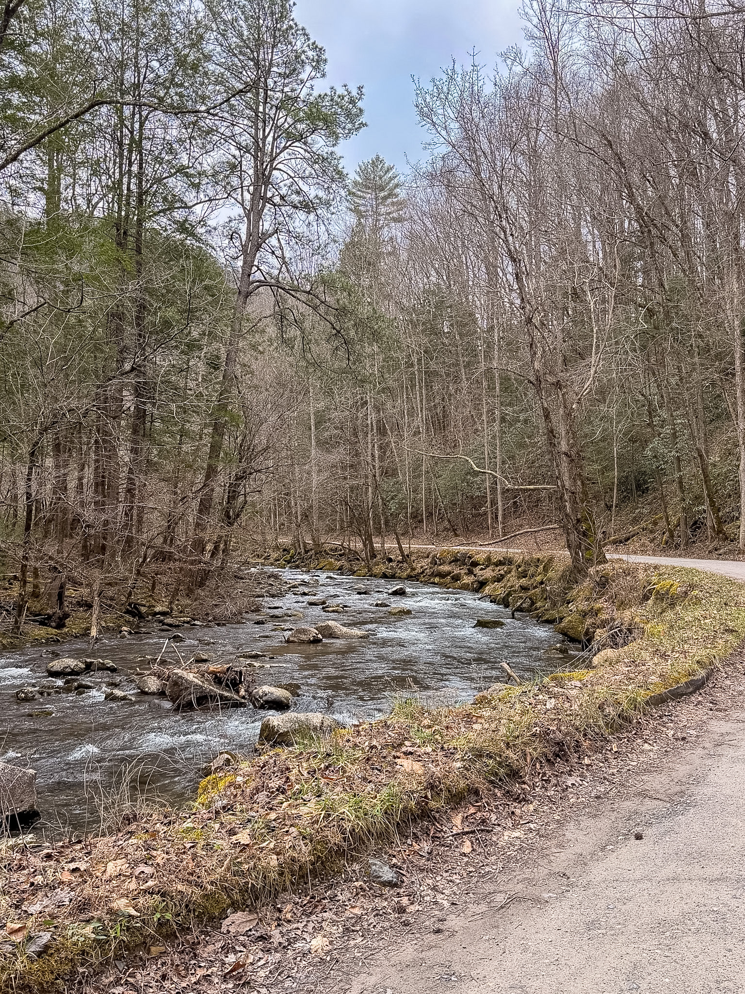 Middle Prong Trail Townsend TN guide waterfall view along river