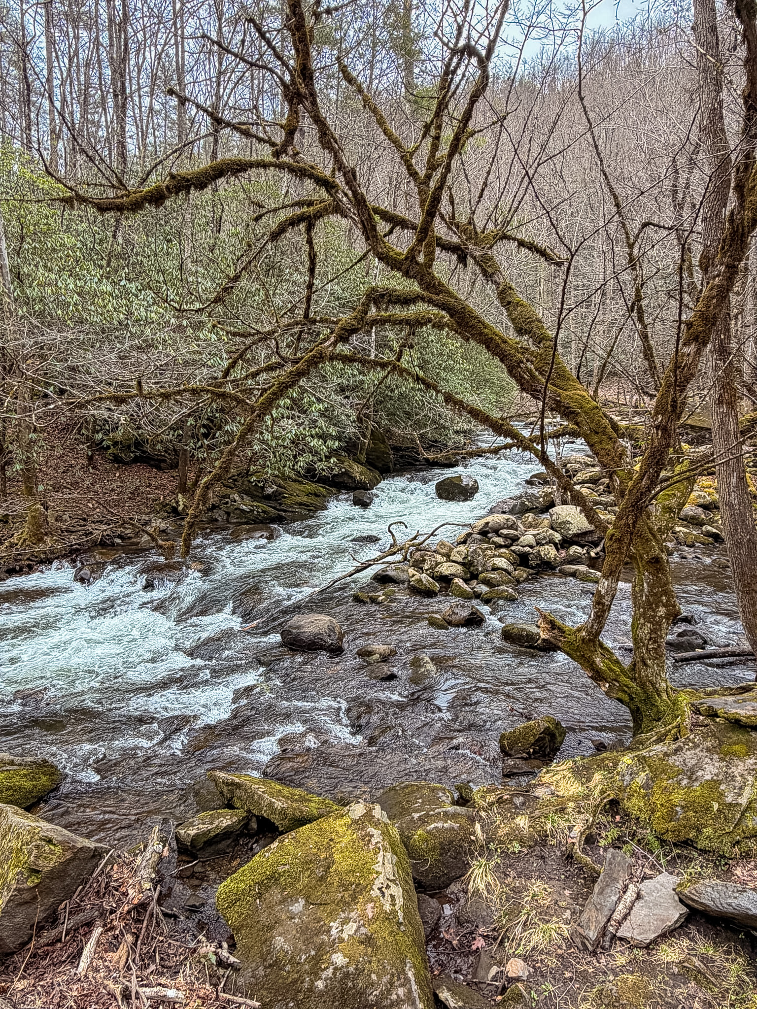 perfect day in Townsend TN Tremont scenic drive
