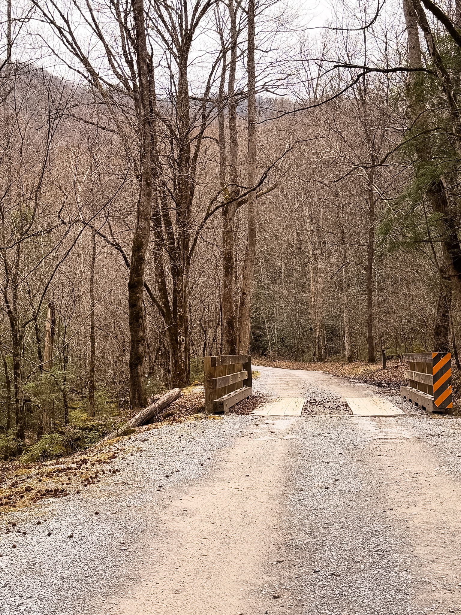 Middle Prong Trail Townsend TN guide scenic river hiking path