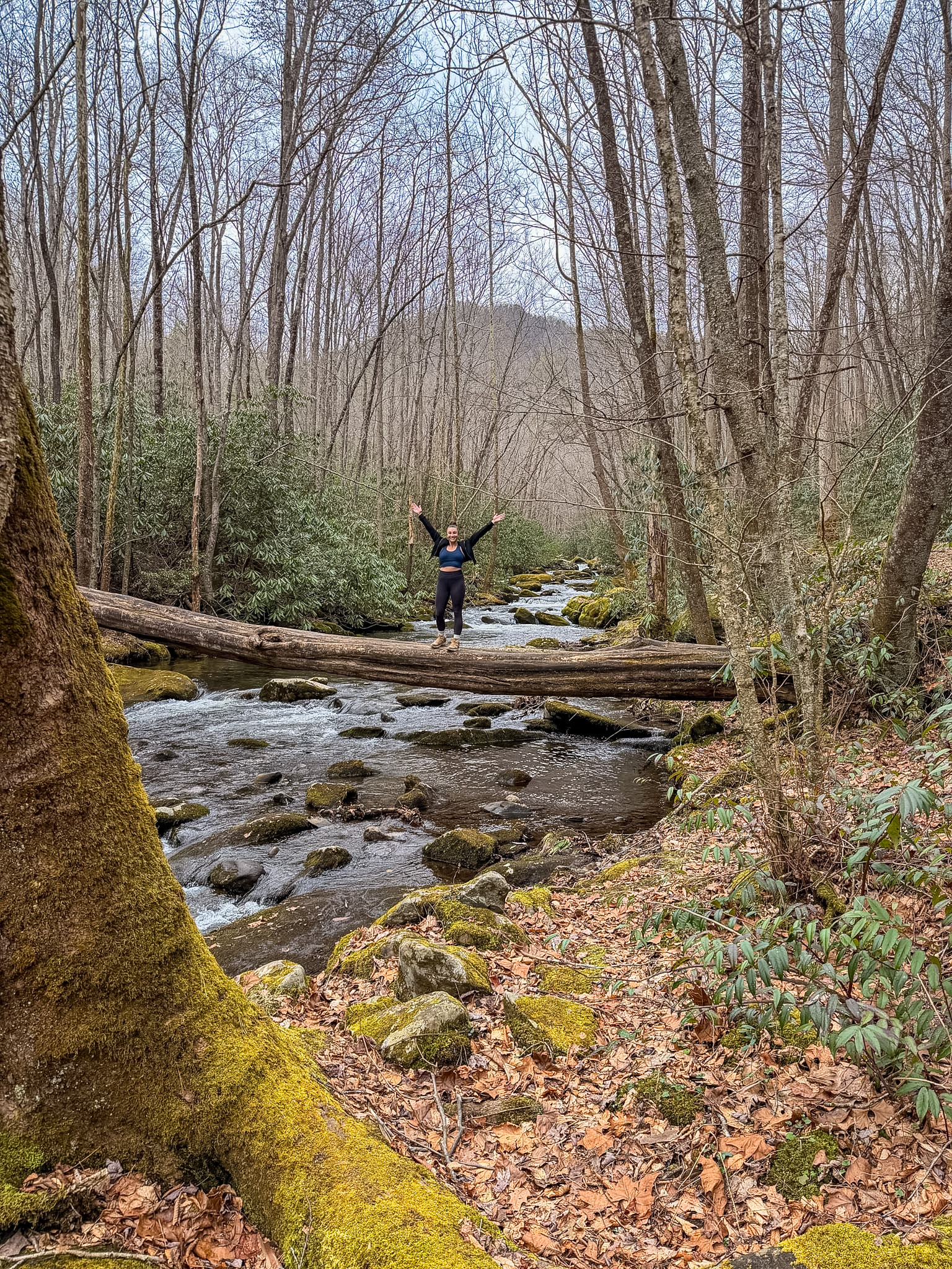 Middle Prong Trail Townsend TN guide trailhead in Tremont Tennessee