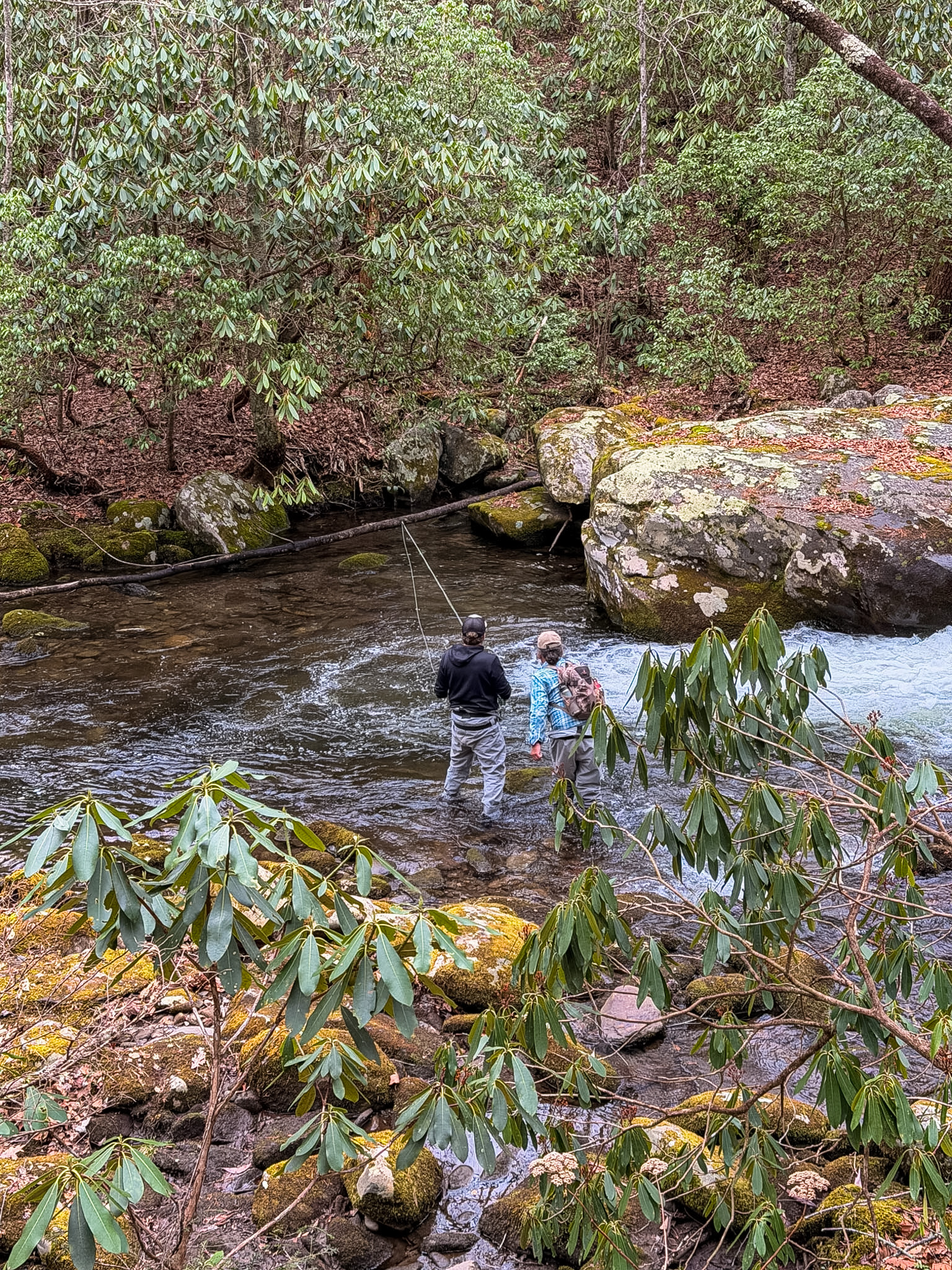 Middle Prong Trail Townsend TN guide fly fishing along river