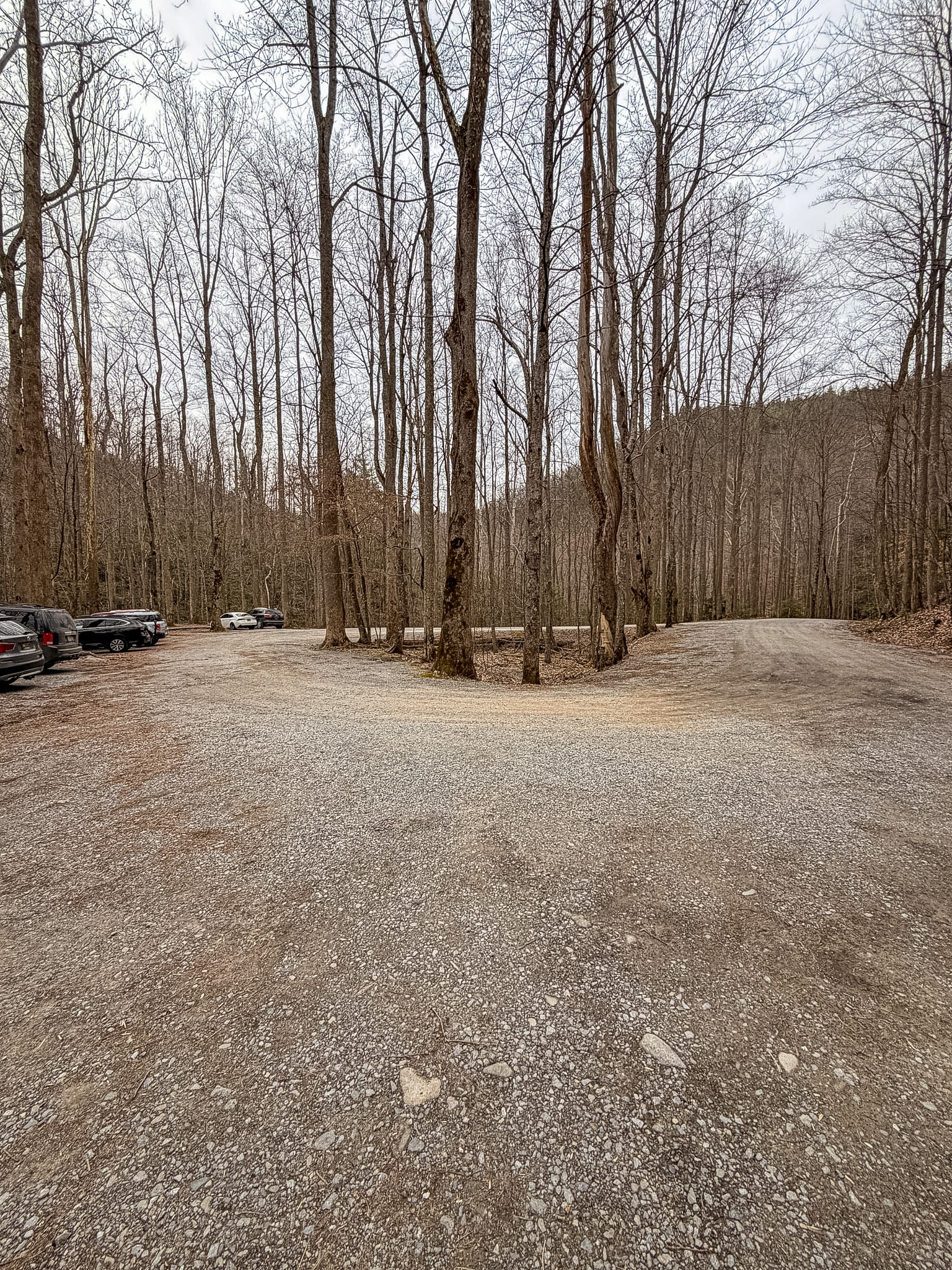 Middle Prong Trail Townsend TN guide parking lot
