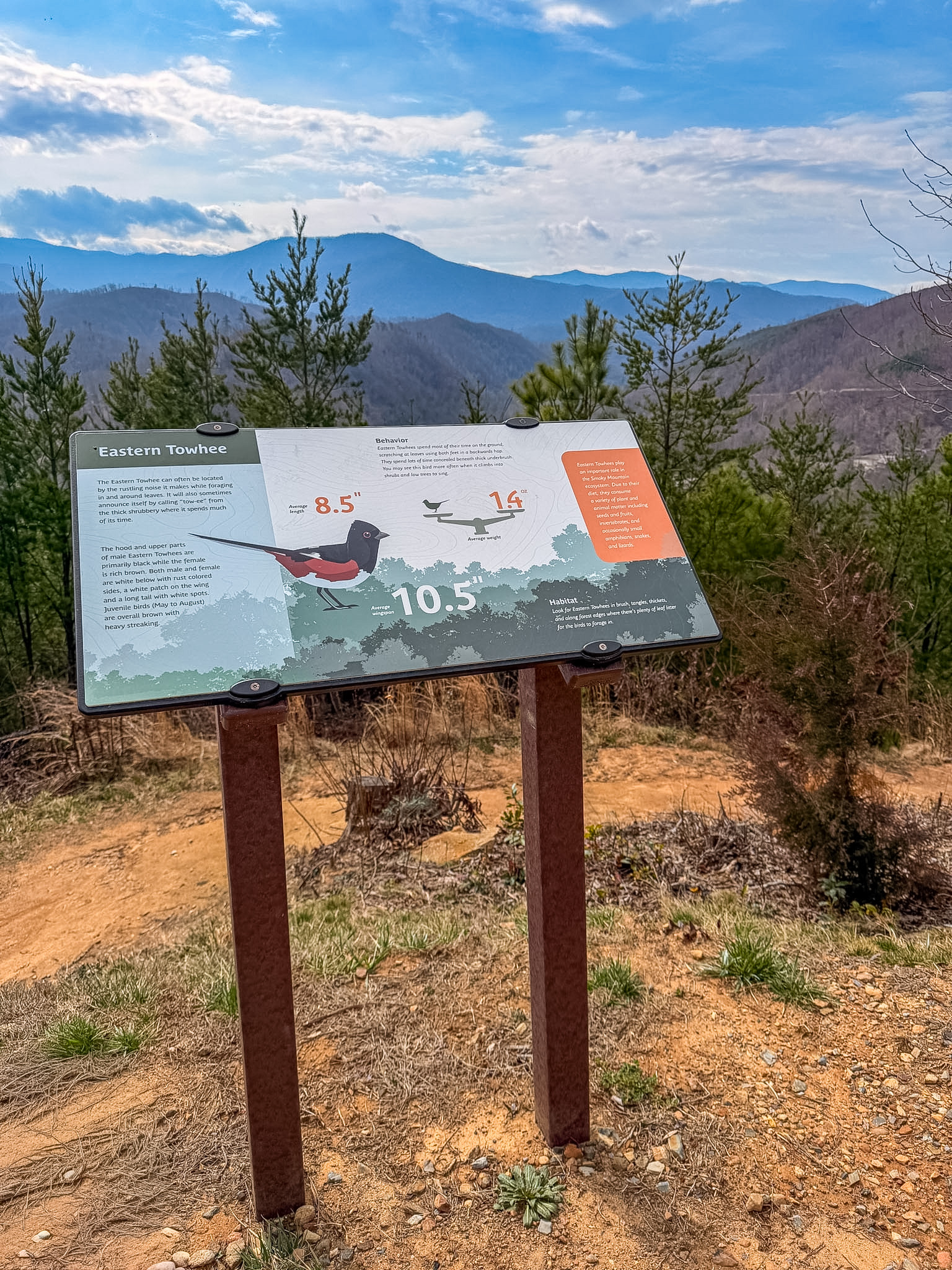 Gatlinburg SkyPark scenic overlook 