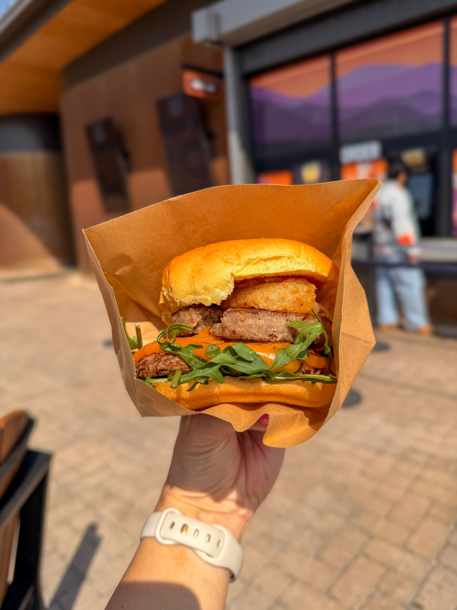 Gatlinburg SkyPark Smoky Mountain Smash burger