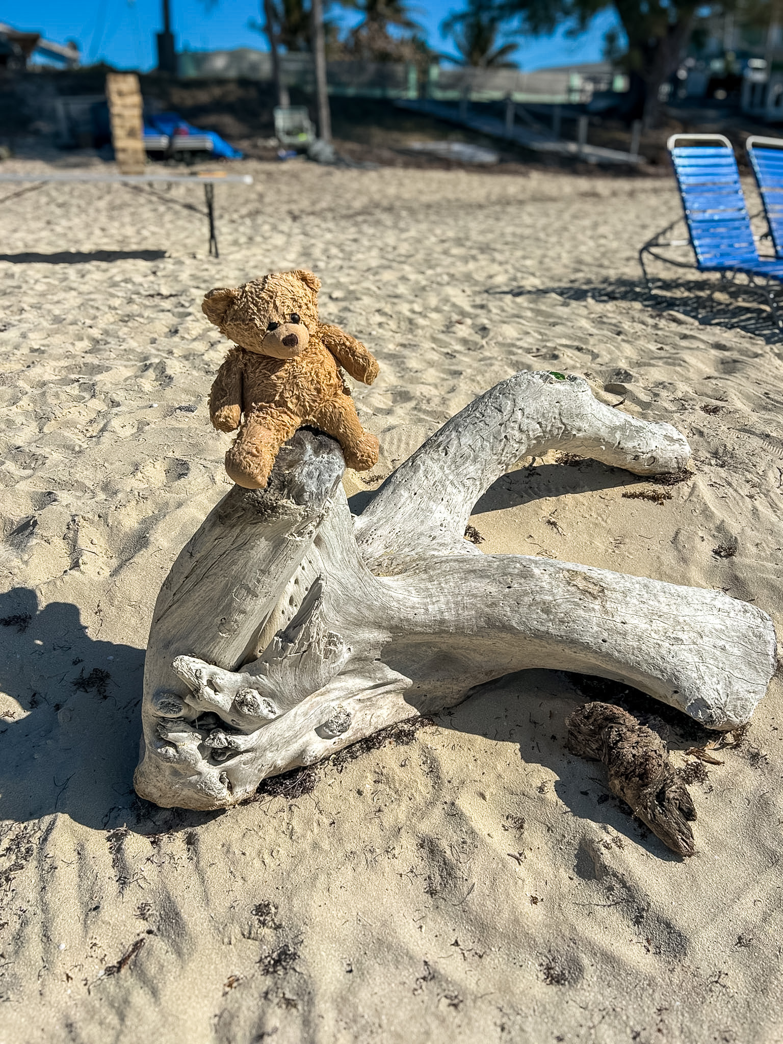 Blister Bay Bimini guide peaceful Bahamas beach scene