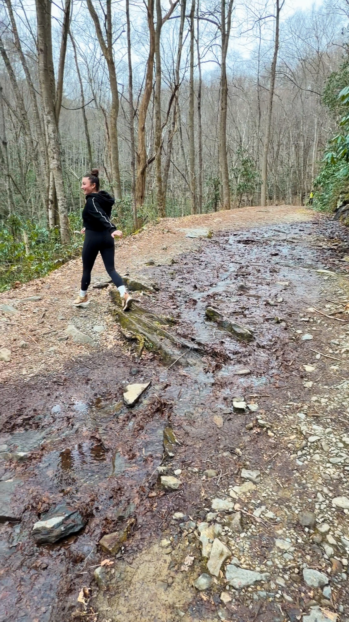Middle Prong Trail Townsend TN guide early spring hiking conditions
