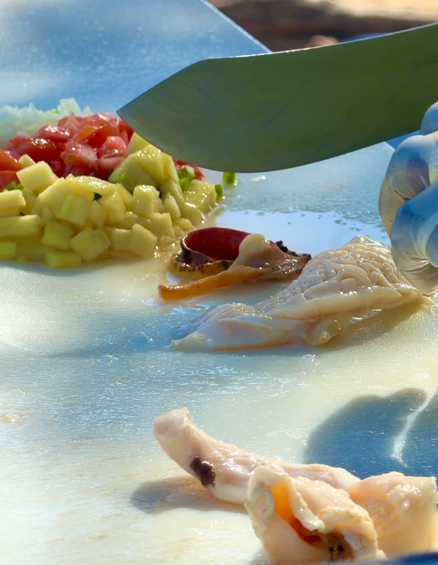 best conch salad in Bimini Shaky’s conch stand