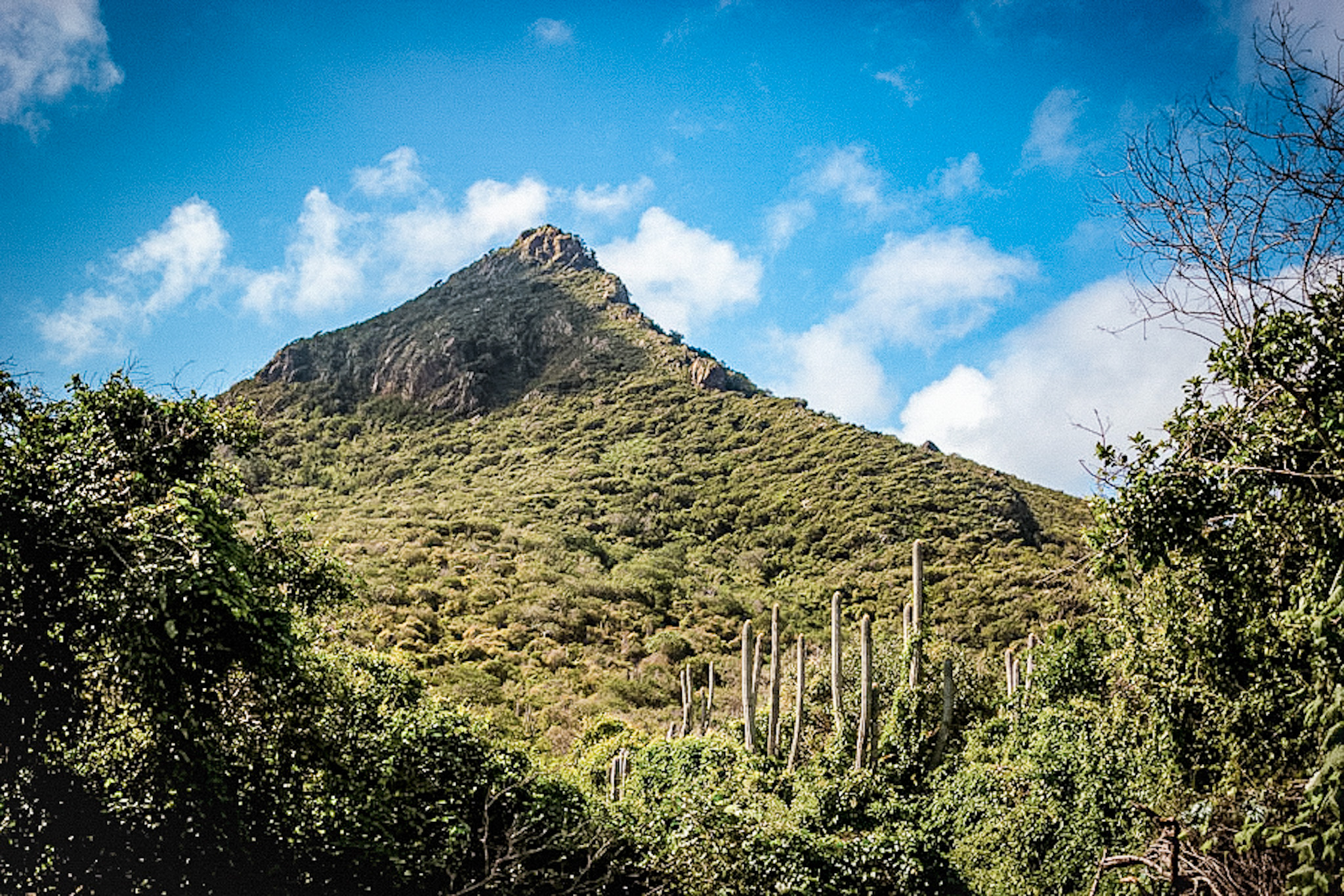 best things to do in Curaçao Christoffel Mountain hike view