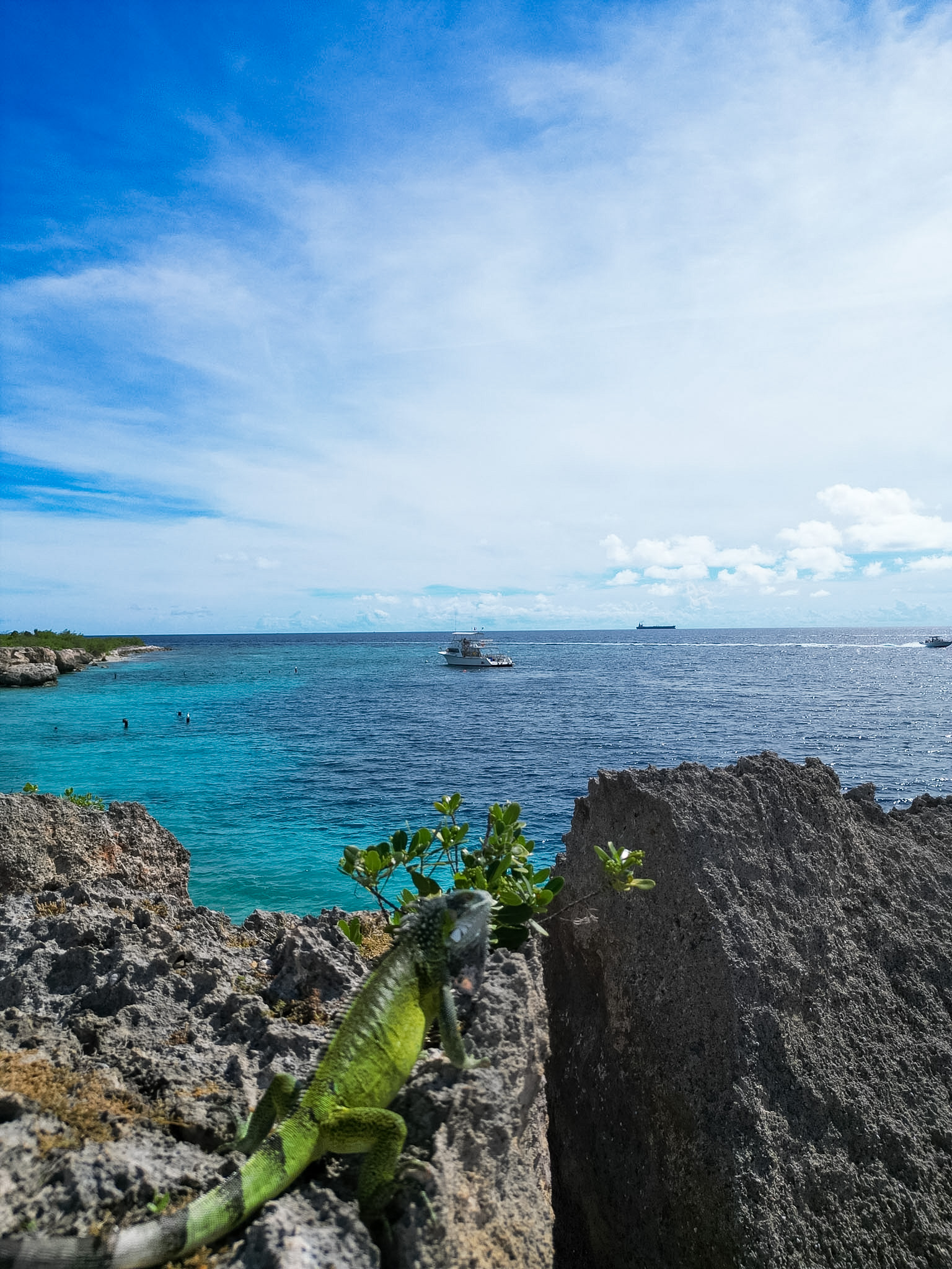 Best snorkeling in Curaçao Director’s Bay quiet beach