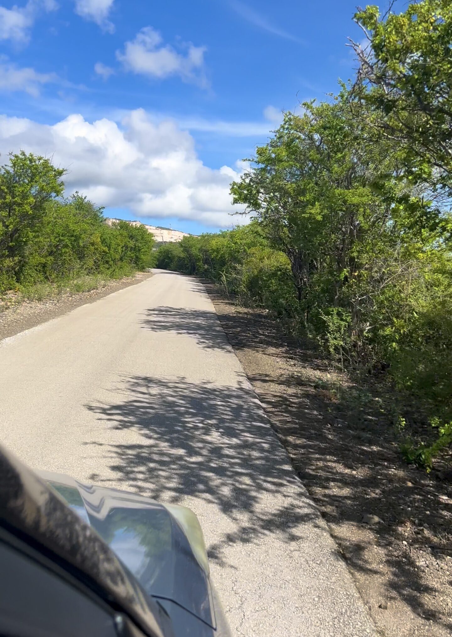 Director’s Bay Curaçao drive